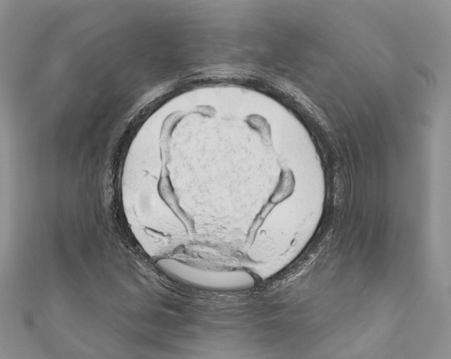 X0000110701213200907241118
