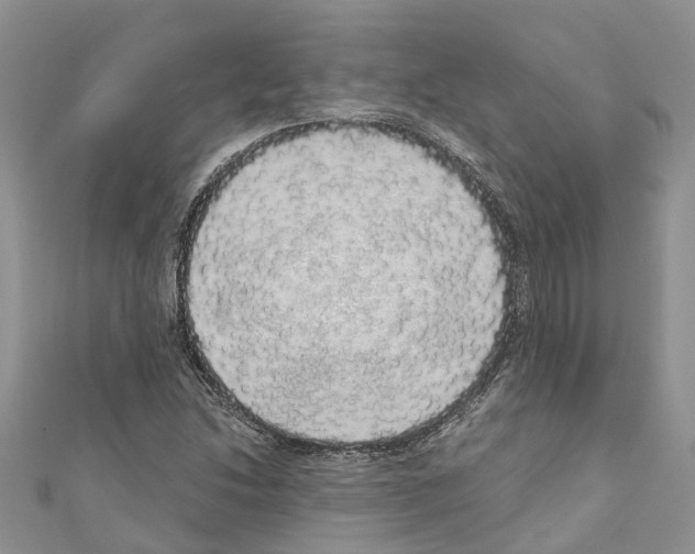 X0000110701214200907241118