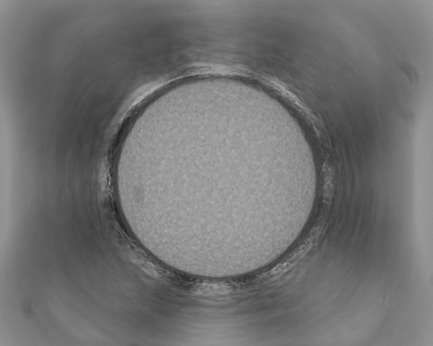 X0000110701215200907241118