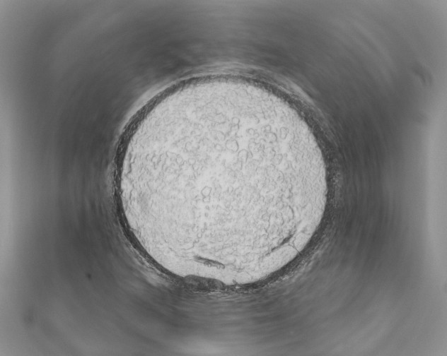 X0000110701216200907241118