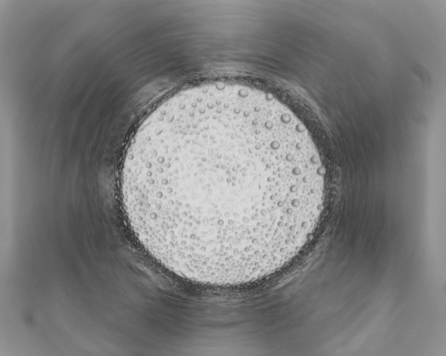 X0000110701217200907241118