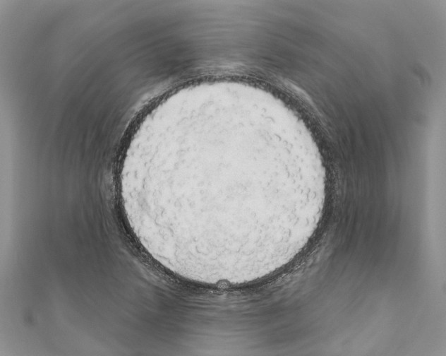 X0000110701218200907241118