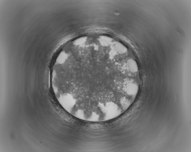 X0000110701219200907241118