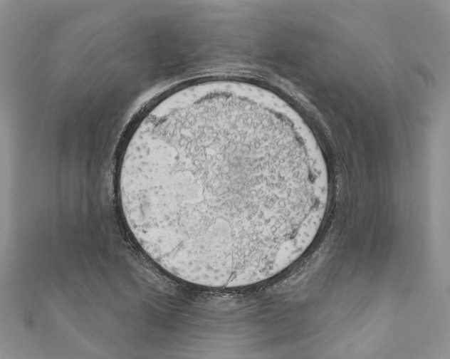 X0000110701222200907241118