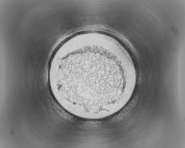 X0000110701224200907241118