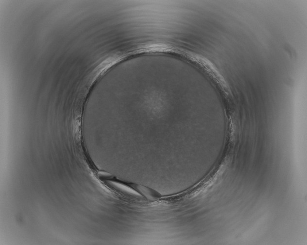 X0000110701225200907241118