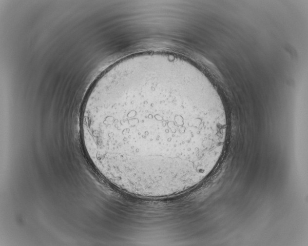 X0000110701226200907241118