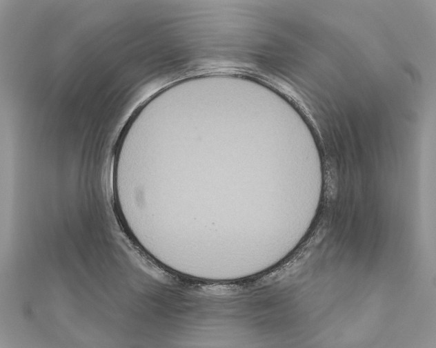 X0000110701227200907241118