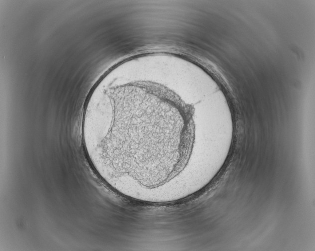 X0000110701228200907241118