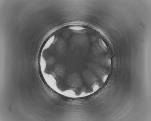 X0000110701229200907241118