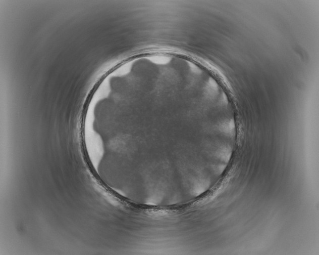 X0000110701231200907241118