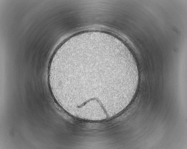 X0000110701232200907241118