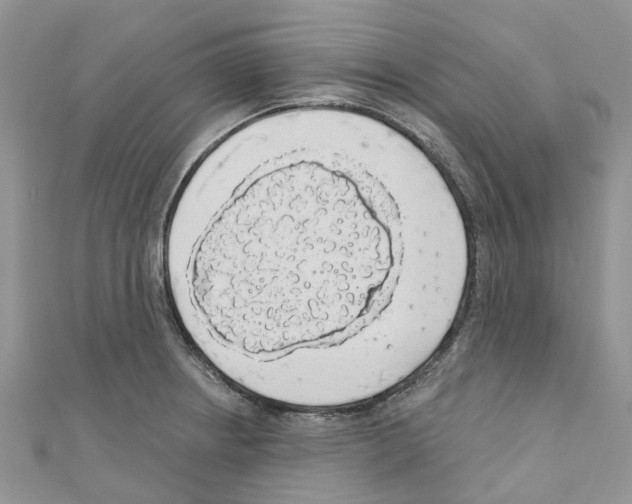 X0000110701234200907241118