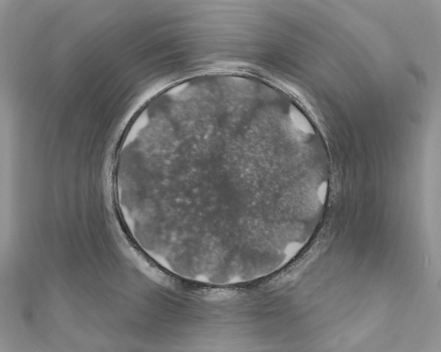 X0000110701235200907241118