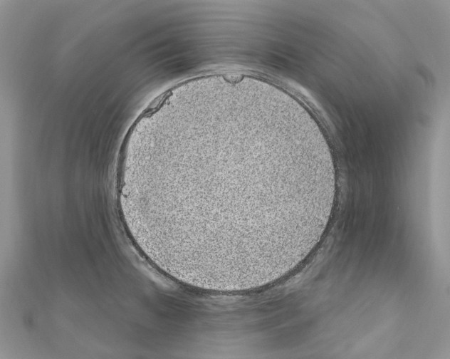 X0000110701236200907241118