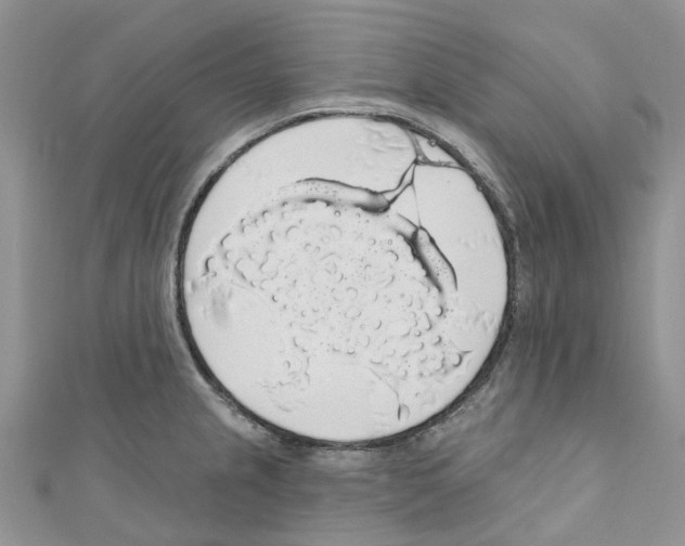 X0000110701237200907241118