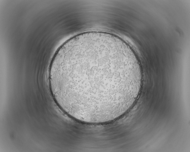 X0000110701238200907241118