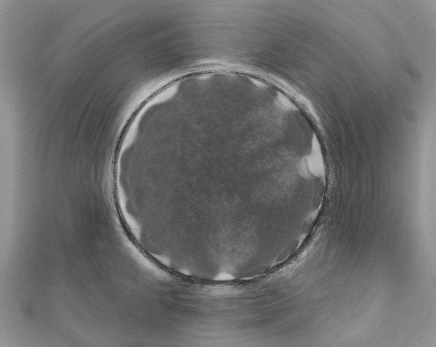 X0000110701239200907241118