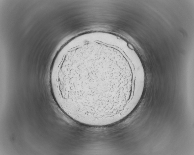 X0000110701240200907241118