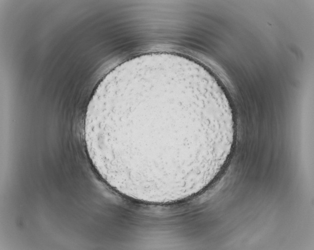 X0000110701241200907241118
