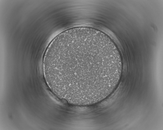 X0000110701242200907241118