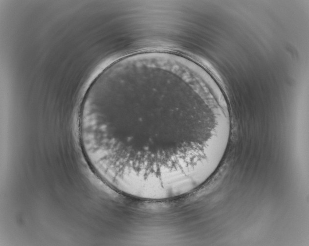 X0000110701243200907241118