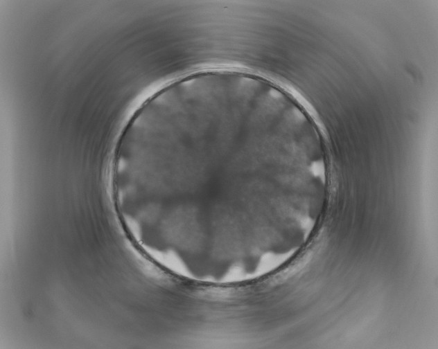 X0000110701245200907241118
