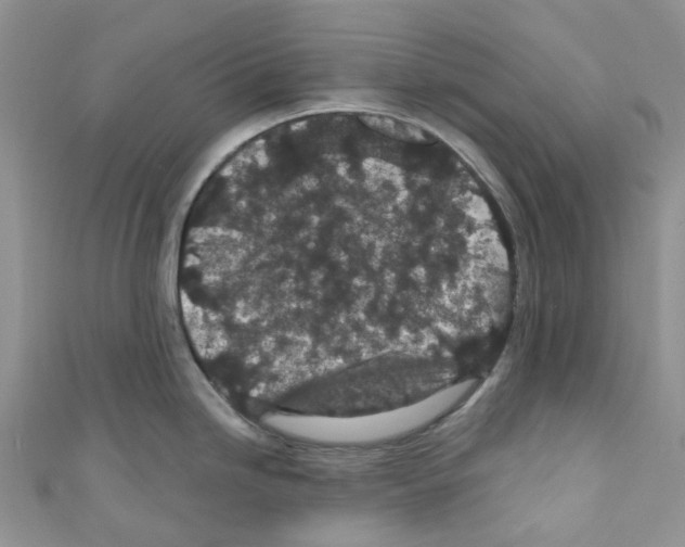 X0000110701246200907241118