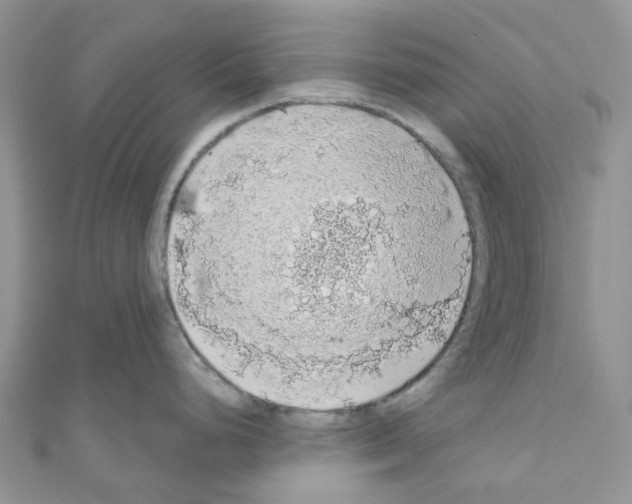 X0000110701248200907241118