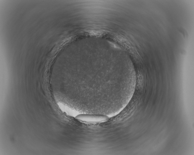 X0000110701249200907241118