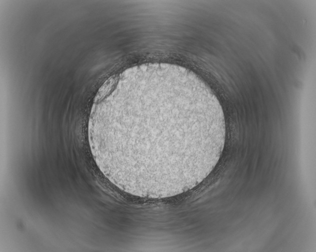 X0000110701250200907241118