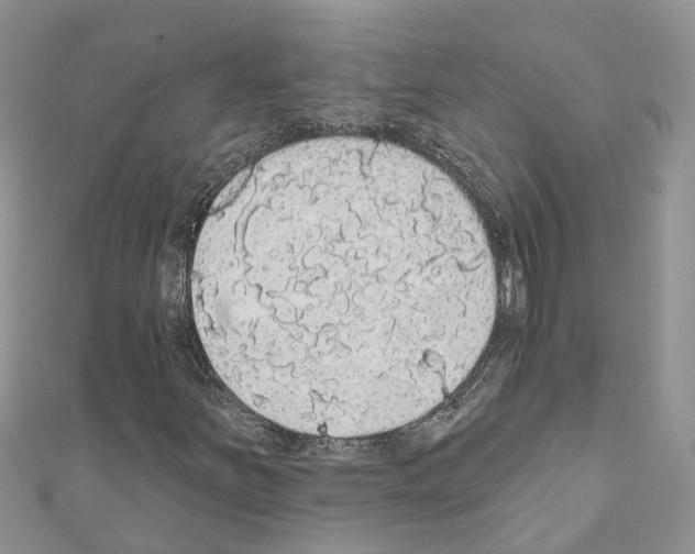 X0000110701251200907241118