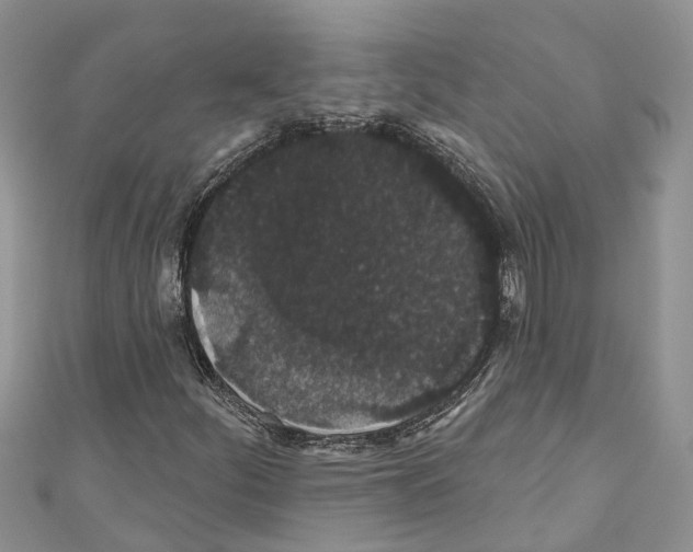 X0000110701252200907241118