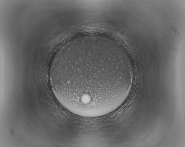 X0000110701253200907241118