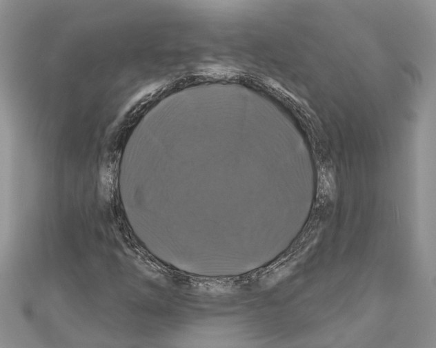 X0000110701254200907241118
