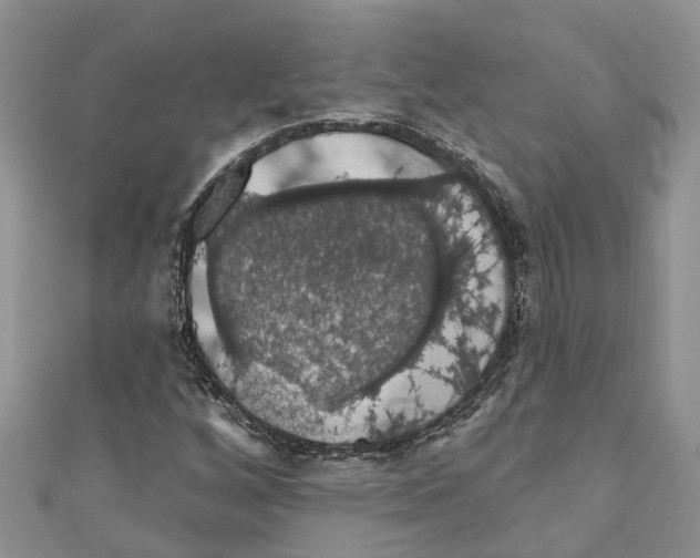 X0000110701256200907241118