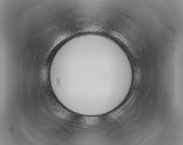 X0000110701258200907241118