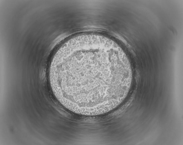 X0000110701259200907241118