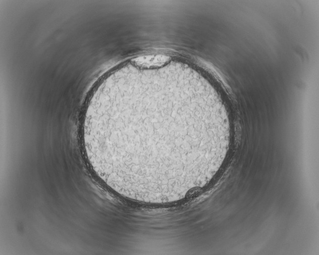 X0000110701260200907241117