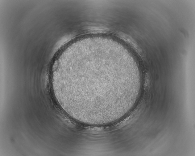 X0000110701261200907241117