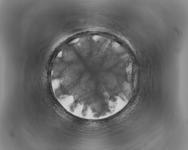 X0000110701263200907241117