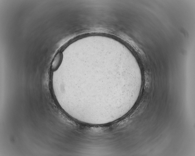 X0000110701264200907241117
