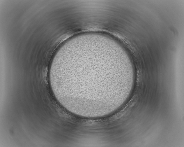 X0000110701265200907241117