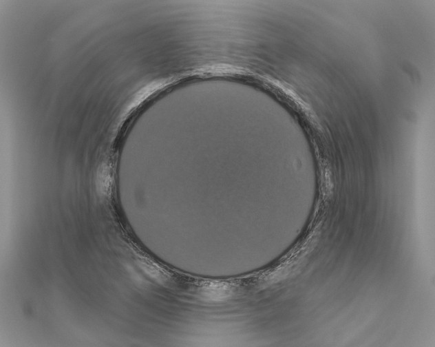 X0000110701266200907241117