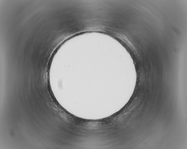 X0000110701268200907241117