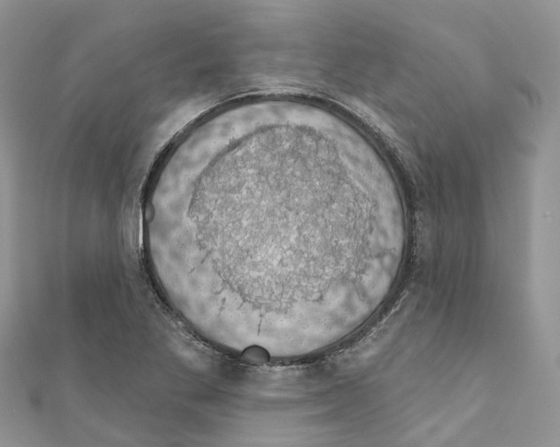 X0000110701269200907241117
