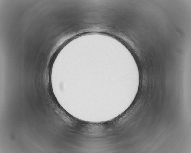 X0000110701270200907241117