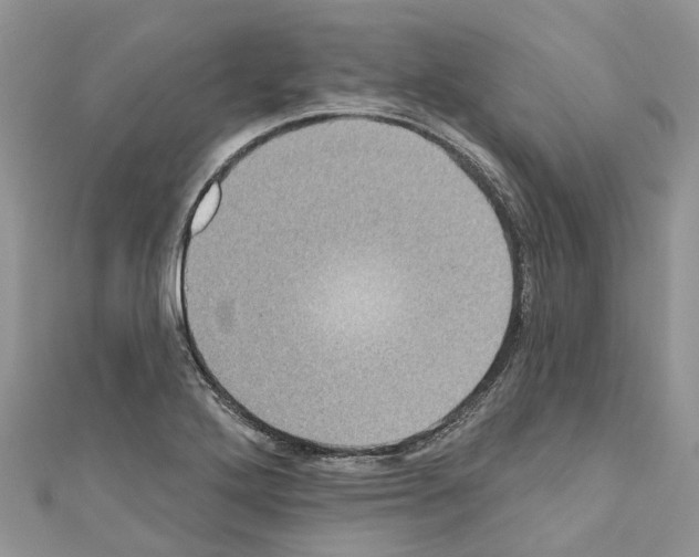 X0000110701272200907241117