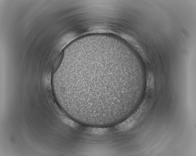 X0000110701273200907241117