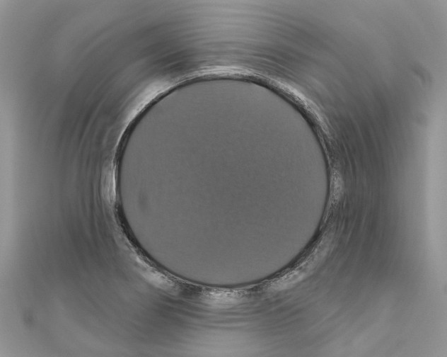 X0000110701274200907241117